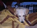 Iarna 2009 070